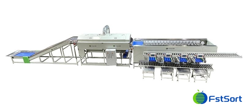 potato sorting packing machine.jpg potato sorting packing machine.jpg